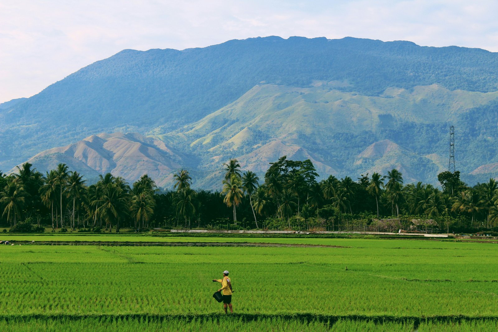 Adat Perkawinan Sumbawa